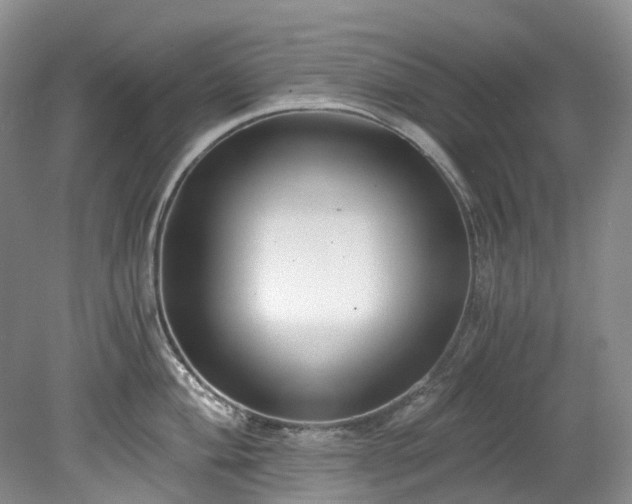 X0000078281004200611101129