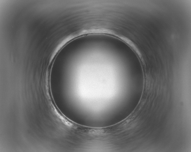 X0000078281006200611101129