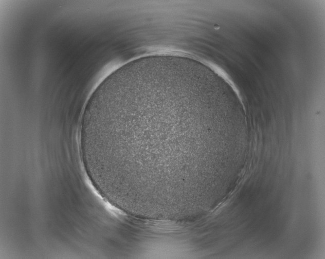 X0000078281007200611101128