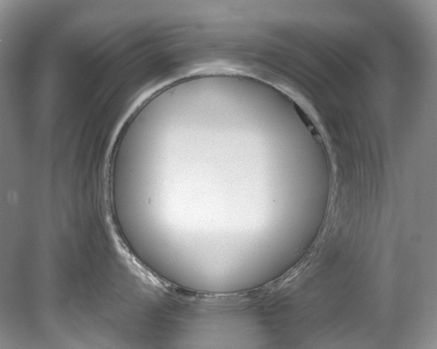 X0000078281008200611101128