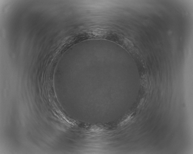 X0000078281009200611101128