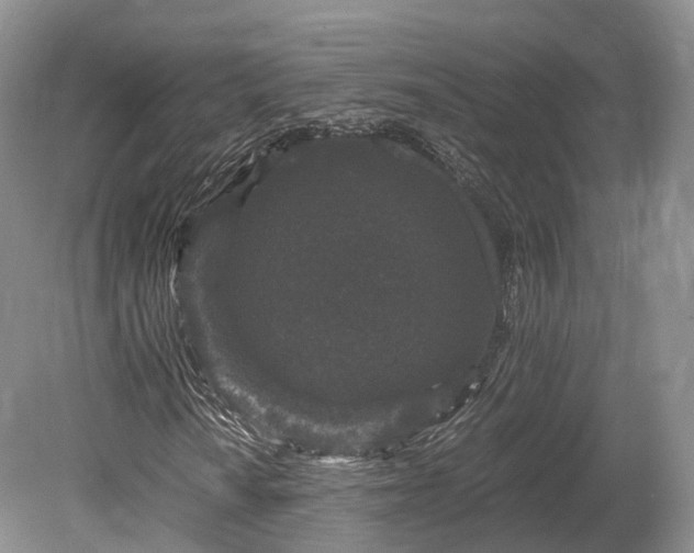 X0000078281010200611101128