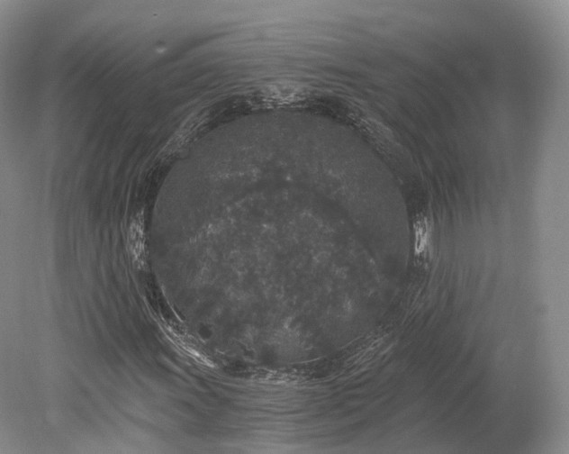 X0000078281011200611101128