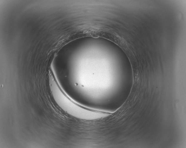 X0000078281012200611101128