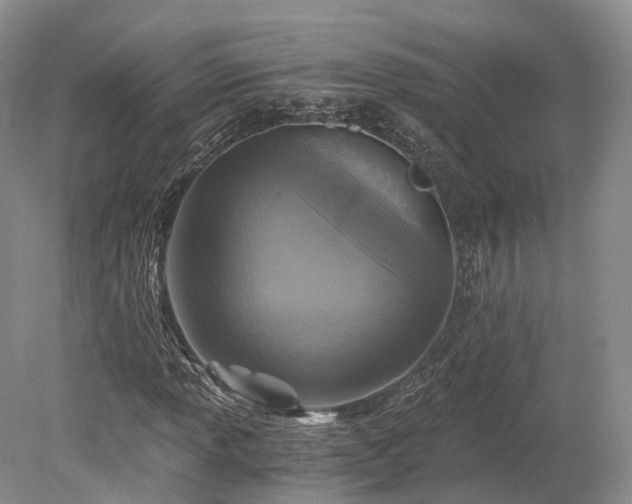 X0000078281013200611101128