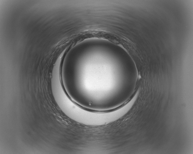 X0000078281014200611101128