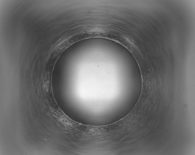 X0000078281015200611101128