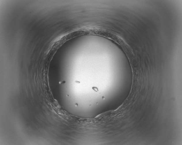 X0000078281016200611101128