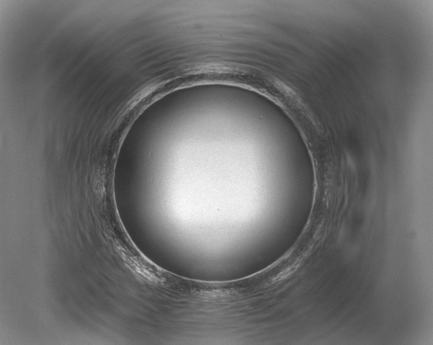 X0000078281017200611101128