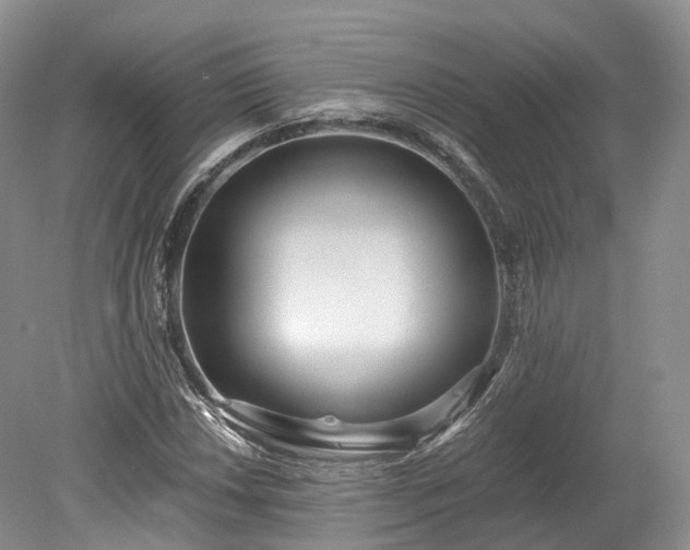 X0000078281018200611101128