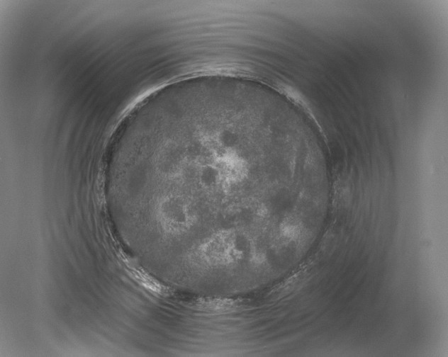 X0000078281019200611101128