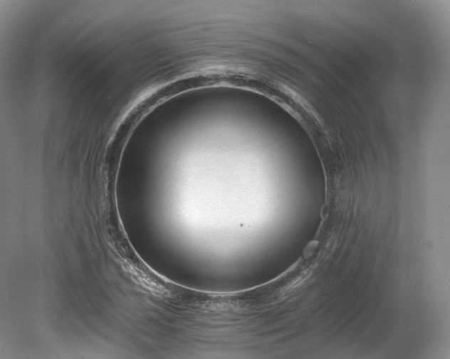 X0000078281021200611101128