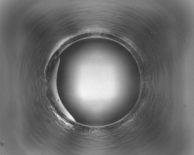 X0000078281022200611101128