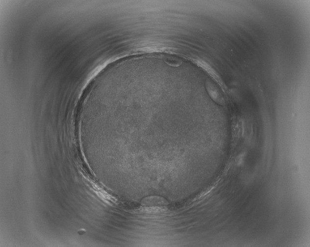 X0000078281023200611101128