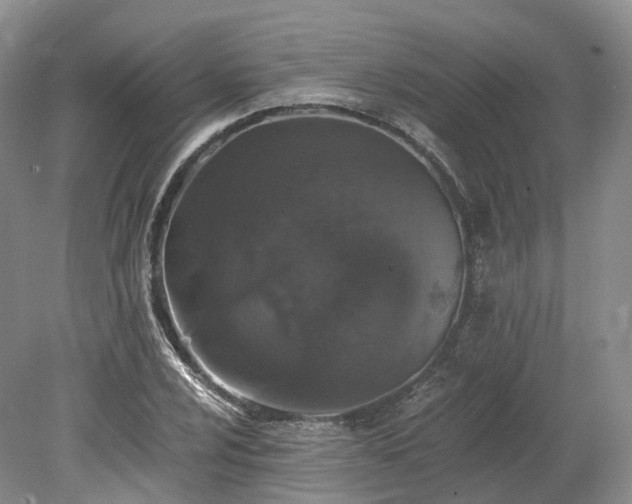 X0000078281024200611101128