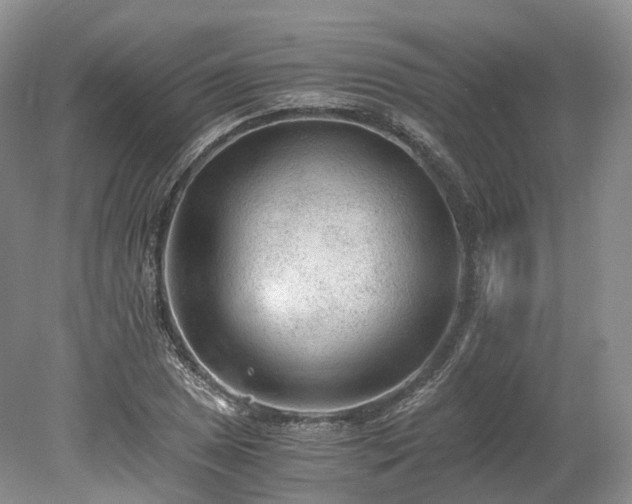 X0000078281025200611101128