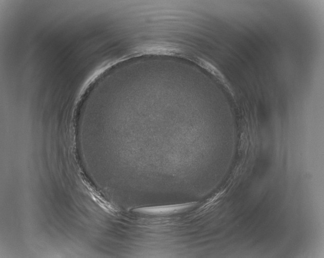 X0000078281027200611101128