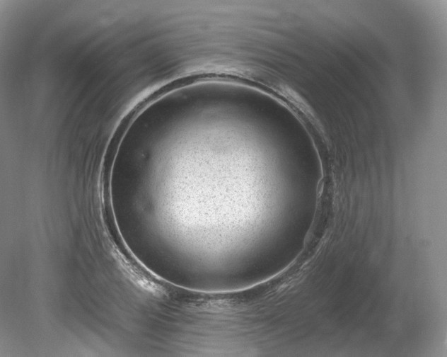 X0000078281028200611101128