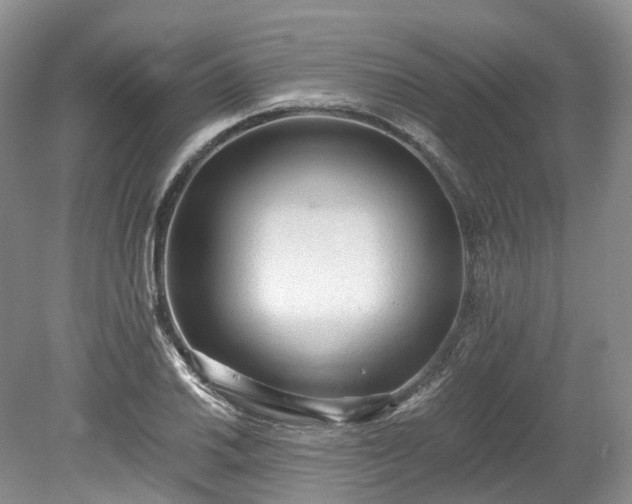 X0000078281030200611101128