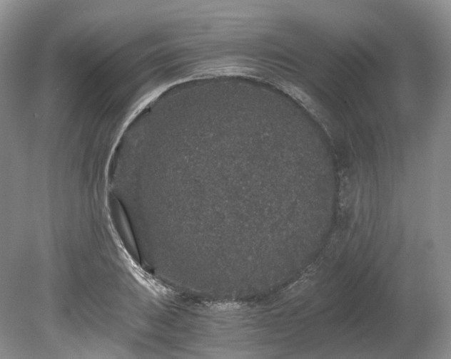 X0000078281031200611101128