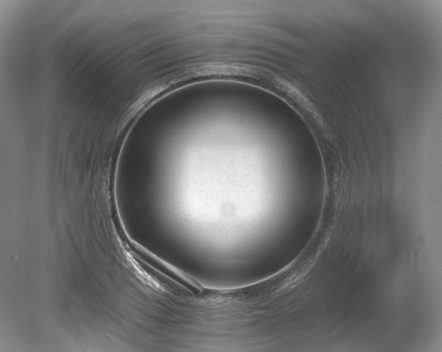 X0000078281033200611101128