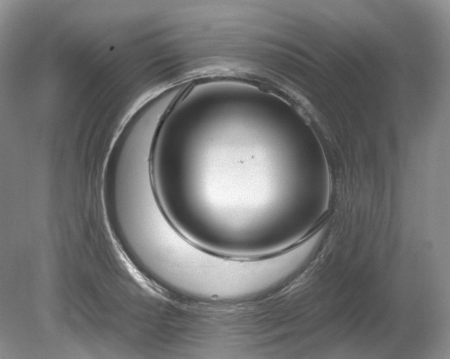 X0000078281034200611101128