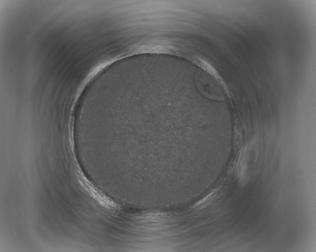 X0000078281035200611101128