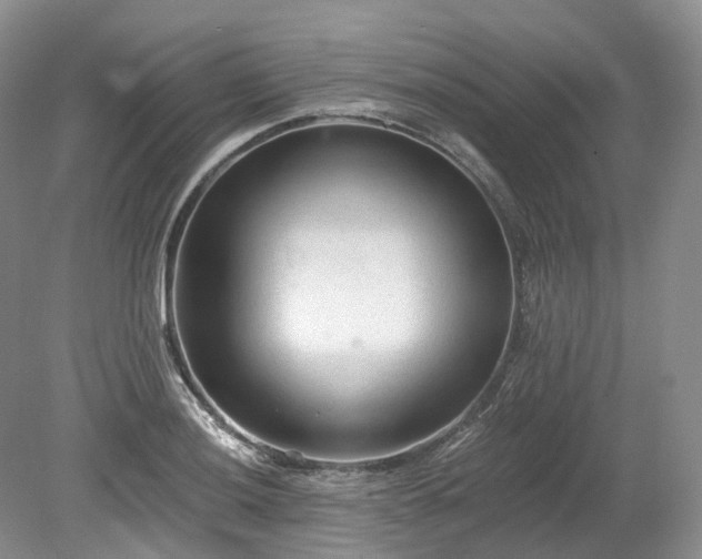 X0000078281036200611101128