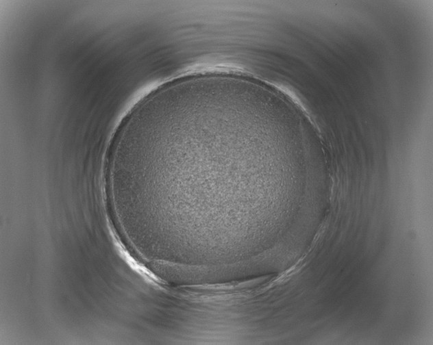 X0000078281038200611101128