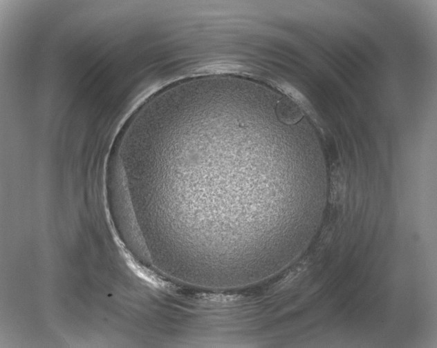 X0000078281039200611101128