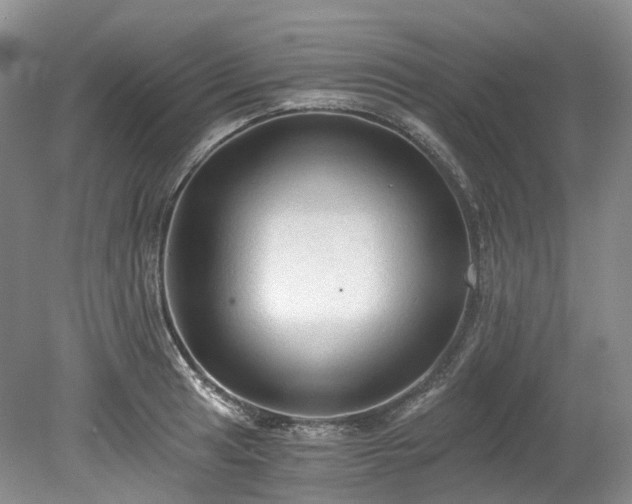 X0000078281041200611101128