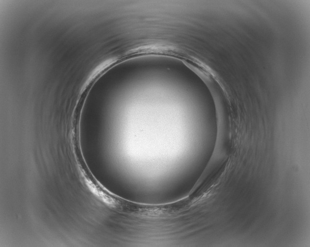 X0000078281042200611101128