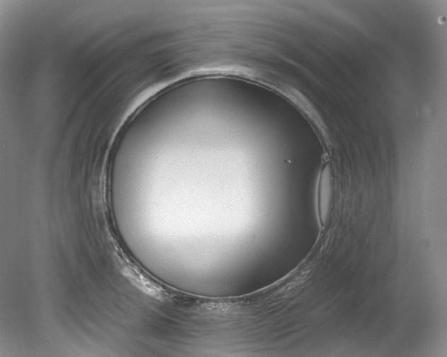 X0000078281044200611101128