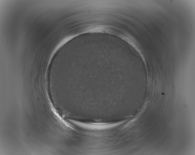 X0000078281045200611101128