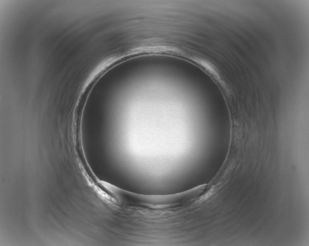 X0000078281046200611101128