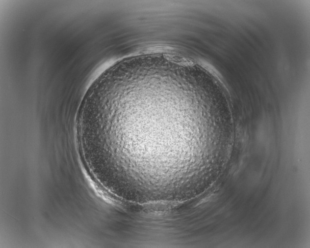 X0000078281047200611101128