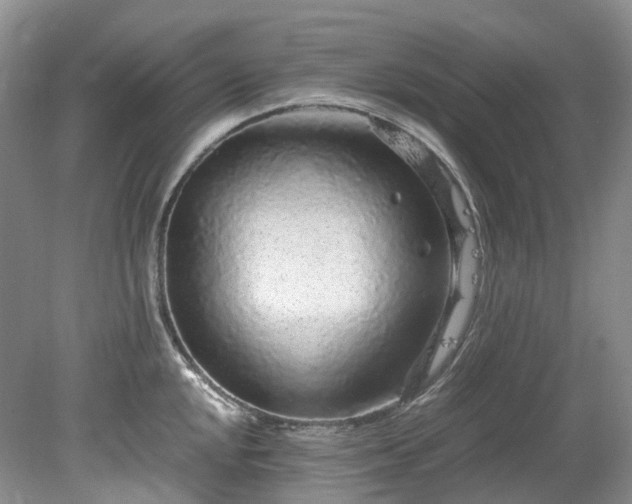 X0000078281048200611101128