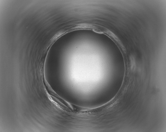 X0000078281049200611101128