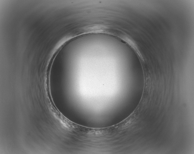 X0000078281051200611101128