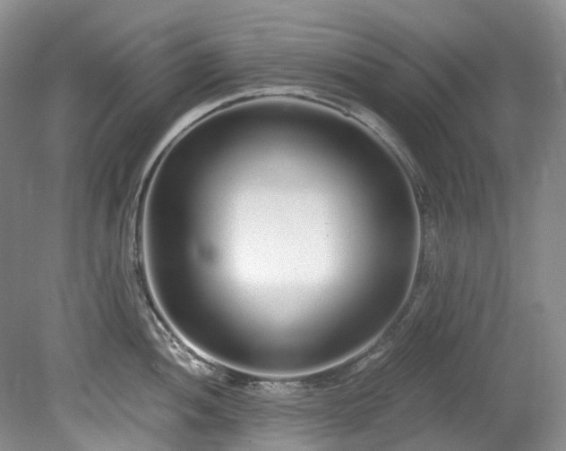 X0000078281052200611101128