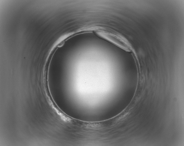 X0000078281053200611101128