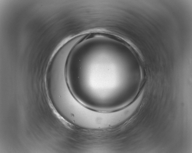 X0000078281054200611101128