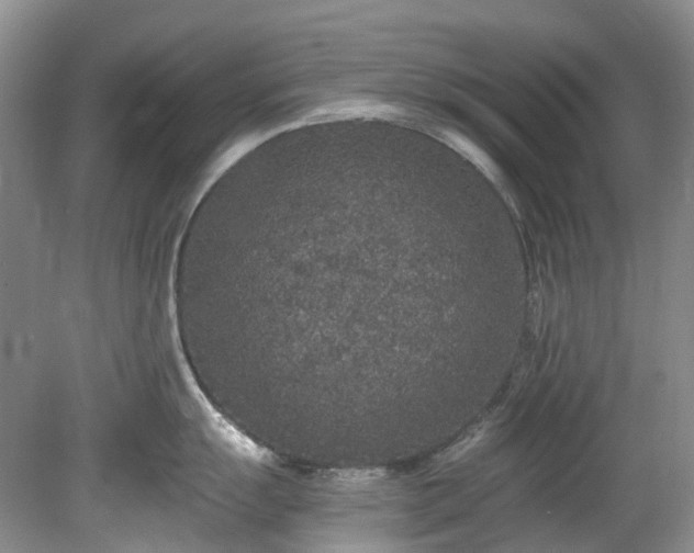 X0000078281055200611101128