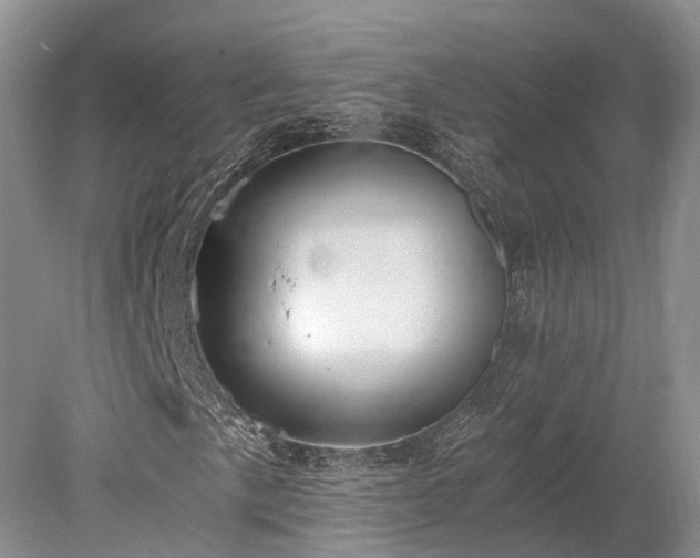 X0000078281057200611101128