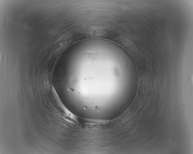 X0000078281058200611101128