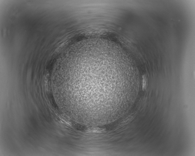 X0000078281059200611101128