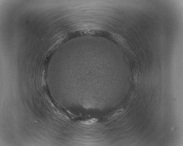 X0000078281060200611101128