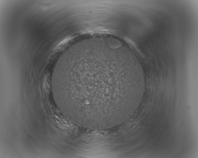 X0000078281063200611101128