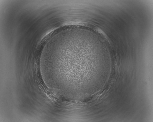 X0000078281064200611101128