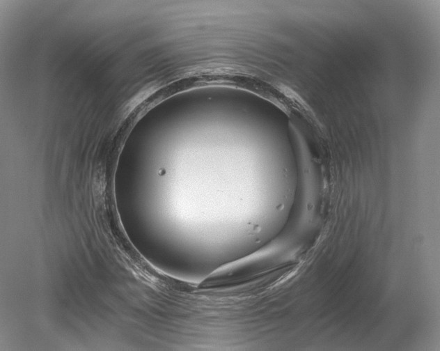 X0000078281065200611101128